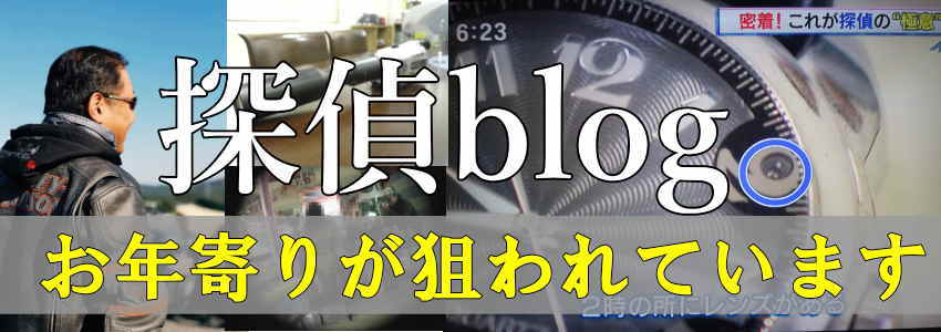 借り逃げ詐欺師を追跡せよと書かれた探偵ブログヘッダー画像